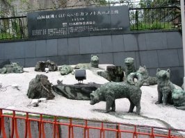 Начиная с 1994 года в Антарктиду и её шельфовые ледники запрещён ввоз любых животных-неэндемиков, включая ездовых собак. Именно по этой причине создатели американского фильма "Белый плен" были вынуждены передвинуть действие картины в 1993 год, когда запрета ещё не существовало. Фильм, кстати, основан на реальных событиях, произошедших в 1958 году с собаками японской антарктической экспедиции. Обстоятельства сложились так, что при эвакуации экспедиции спасатели не смогли забрать со станции 15 собак, оставив их привязанными к столбу. Из пятнадцати выжило двое, Таро и Дзиро, которые сумели продержаться во льдах год, до прибытия новой партии полярников. Ныне в Токио установлен памятник, напоминающий о тех событиях.