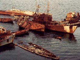 Остатки Краснознаменной Каспийской флотилии в Бакинской бухте у острова Нарген.