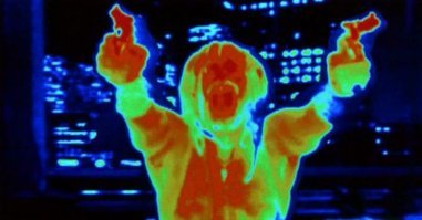 А так видит хищник))