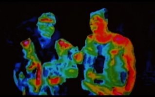 А так видит хищник))