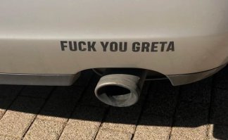 В яблочко: убийственный удар гольфиста