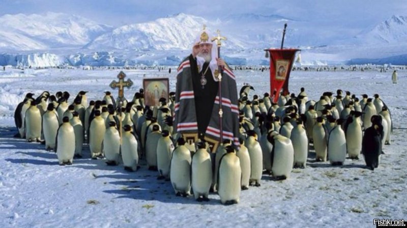 А еще в Антарктиде Гундяй пингвинов в христианство обращал.