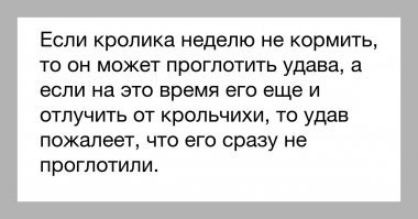 Голодная лягушка ошиблась с выбором добычи и попыталась съесть змею