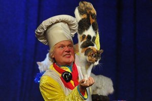 История жизни самого умного кота в России!