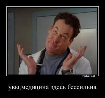 Женщина предпочла своих бультерьеров вместо супруга