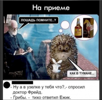 Российские телеведущие, в жизни которых было место наркотикам