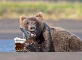 Мишаня с рыбкой шикарен  (не удержалась) ;)