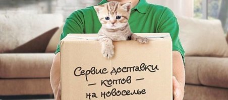 Веселые и жизненные демотиваторы на понедельник