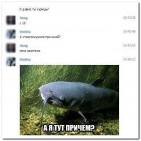 Прикольные и смешные картинки