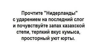 Опять виновата Россия. Нидерланды не хотят быть Голландией