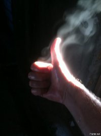 Гибель фильма «Шоугерлз»