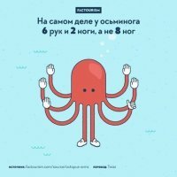 Есть один вид осьминога с весьма неординарным назначением одного из щупальцев, которое отделяется от хозяина и плывет самостоятельно оплодотворять самку. Отрастает ли новый "член" - не знаю, надо поинтересоваться)))