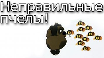 Неудачная попытка избавиться от гнезда ос