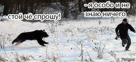 Инцесты, измены, групповуха, детский каннибализм: 20+ фактов о размножении животных