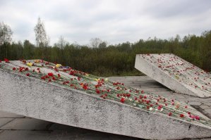 Я родился и вырос в Ленинграде. На той самой Ржевке, где начиналась "Дорога Жизни". Памяти детей, погибших в блокаду там установлен монумент. В том числе и со страницами дневника Тани. 
Мы, будучи пионерами, всегда отдавали дань памяти у этого монумента.