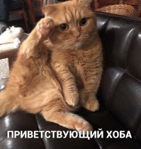 Картинки с надписями