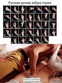 Прикольные и смешные картинки