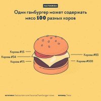 но чаще всего не содержат ни одной)) надо уже писать при приготовлении данного бургера ни одно животное не пострадало...