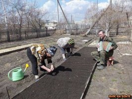 на этом фото все отлично мужик вскопал бабы сеют !!!