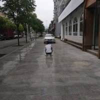 Всегда ржу с этого автора, копипастит все подряд ради лайков никогда не вникая в фотографии -
1. Женщина с упакованным младенцем, со спины, старшая дочка держит зонтик от солнца над мамой и ребенком.
2. Мужик фотографирует передок авто на телефон.
Ну и так далее.

P.S. Особенно смешной бред автор несет выкладывая фото из России...