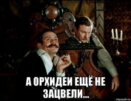 Почему у орхидеи вянут листья?