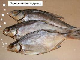 20 способов спасти планету