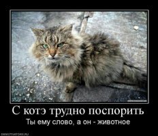 Демотиваторы