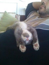 Я человек простой...

.