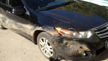 Я один раз столкнулся с кабанчиком, мне как то не очень понравилось.