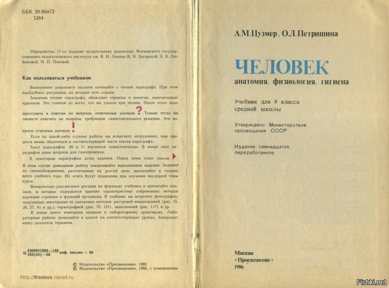 Разочаруйся.
В СССР  анатомию проходили в 8-м классе.
Простительно не знать человеку, который и в СССР не жил, и в школу, скорее всего, не ходил.
Трудные времена, поколение миллениалов, в школе на айфон не заработаешь.

Вот тебе, лапушка, ещё одна картиночка.
Правда, придётся разбираться в буковках, ну, ничего, попросишь кого-нибудь - прочитают тебе.
Заодно попроси взрослых - пусть помассируют тебе gluteus maximus при помощи ремешка.
Тебе такая терапия показана.
Улучшает кровообращение.
И, последнее по списку, но не по важности, запоминай:
на жопе репродуктивных органов нет, тебя обманывали всю твою недолгую жизнь.