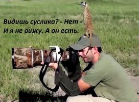 Скрины из социальных сетей