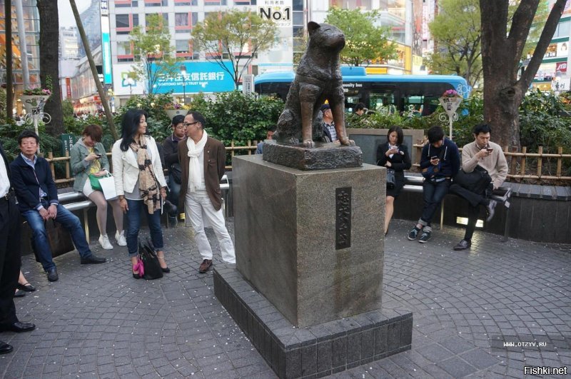 Причем тут"История настоящего Хатико."- Балто- это Балто, Хатико это Хатико. p.s. памятник Хатико в Японии.
