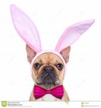 Прикольные и смешные картинки