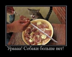 Прикольные и смешные картинки