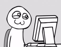 Любопытный попугай пытается привлечь внимание равнодушной совы