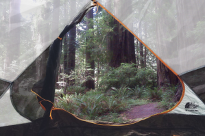 Трудно поверить, но это не фотошоп