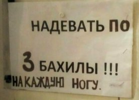 Папа, а почему мы переодеваем "сменку", а учителя и директор нет