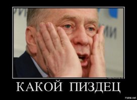 "Он был так напуган, когда мы принесли его домой два дня назад": мужчина "спас" брошенный скелет