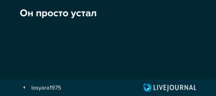 Нараследовался..