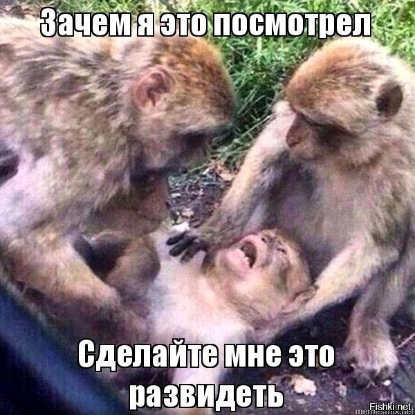Упорото и весело: В сети стали популярны мемы про «чипсеки», «сухареки» и «лиманадек»
