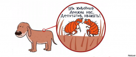 Эти депутаты ,,дарят" повышение пенсионного возраста, продажные законы, сбивают подшофе (с устатку, ясень пень ) тех, кто их выбирает и огорчаются совершенно искренне - люди не любят их !