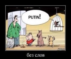 Подборка смешных комментариев
