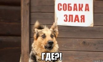 Прикольные и смешные картинки