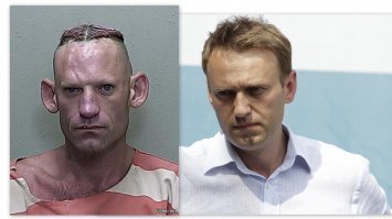 Похож сучка, только похудевший.