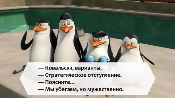 Прикольные и смешные картинки
