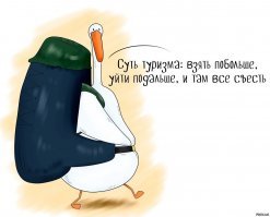 Молодцы девчонки!
РЕСПЕКТ!