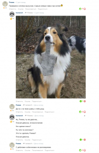 Собачьи гифки