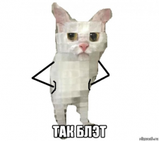 15 случаев, когда рифлёные стёкла в доме превращали котов в произведения сюрреалистов