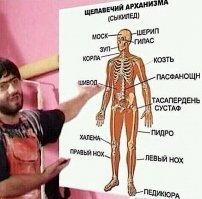 Россиян начнут лечить мигранты