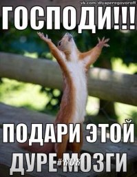 Женщина создаёт весёлые фотографии со своими 2 собаками, чтобы запечатлеть их восхитительные взаимоотношения